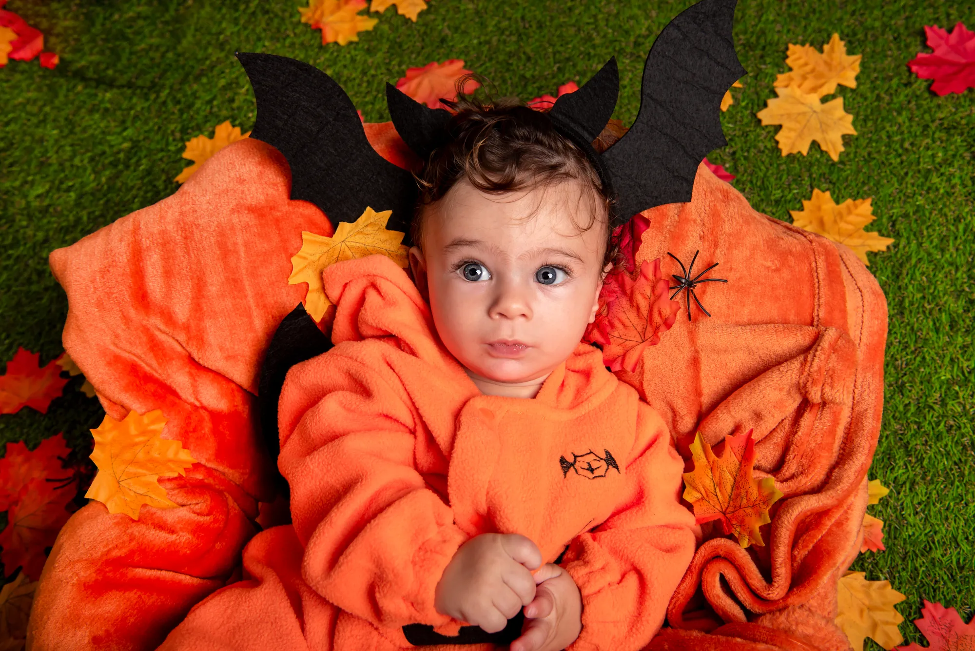 Halloween, Studio Frau Fotografia