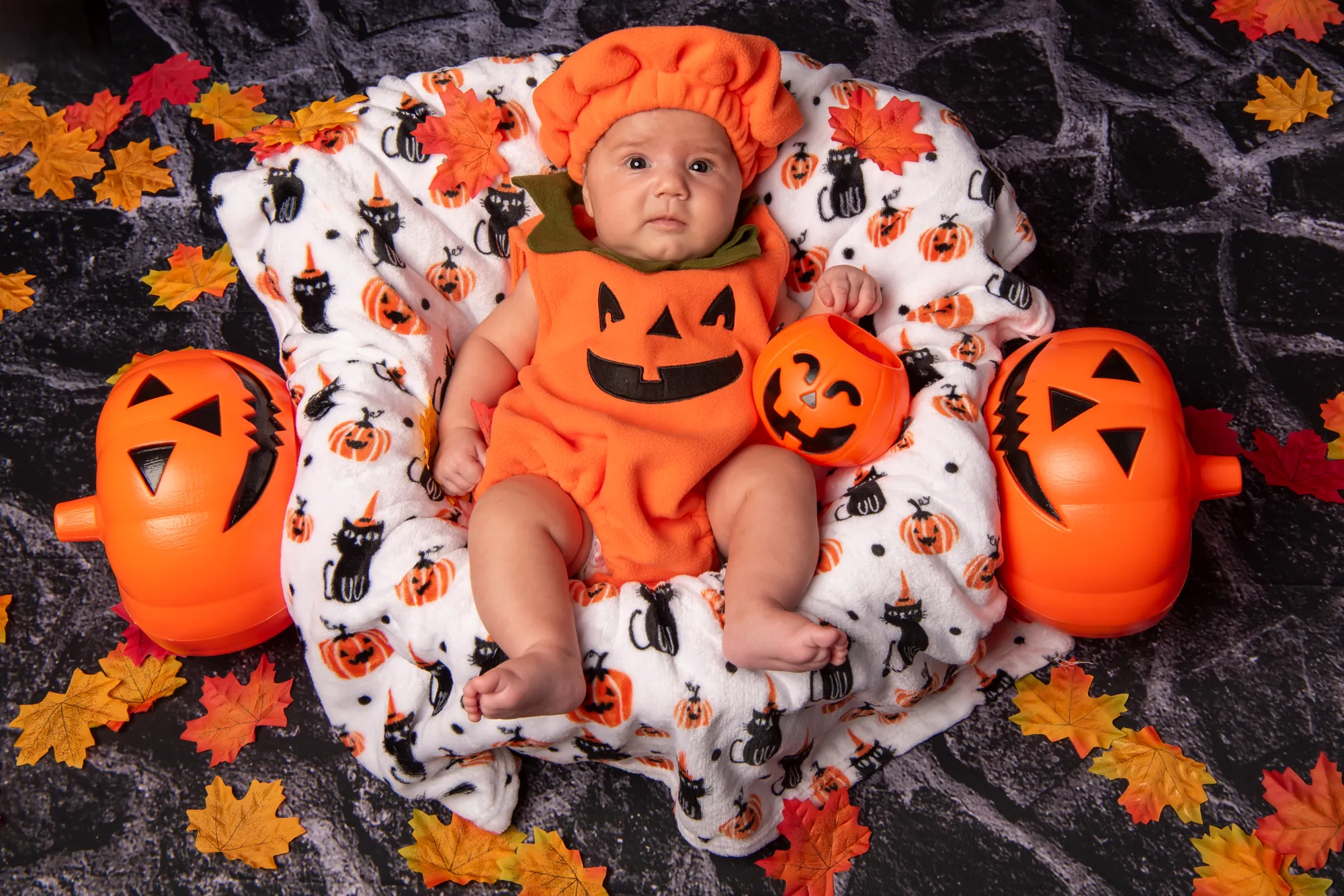 Halloween, Studio Frau Fotografia
