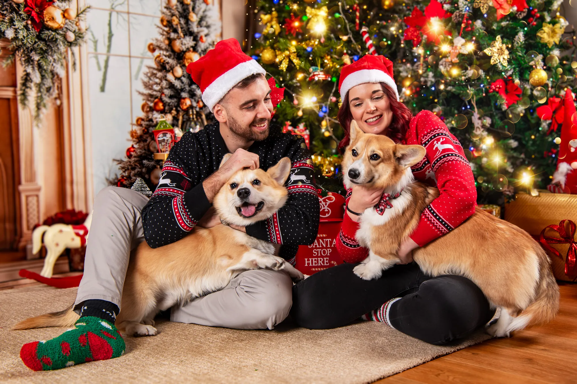 Natale, Studio Frau Fotografia