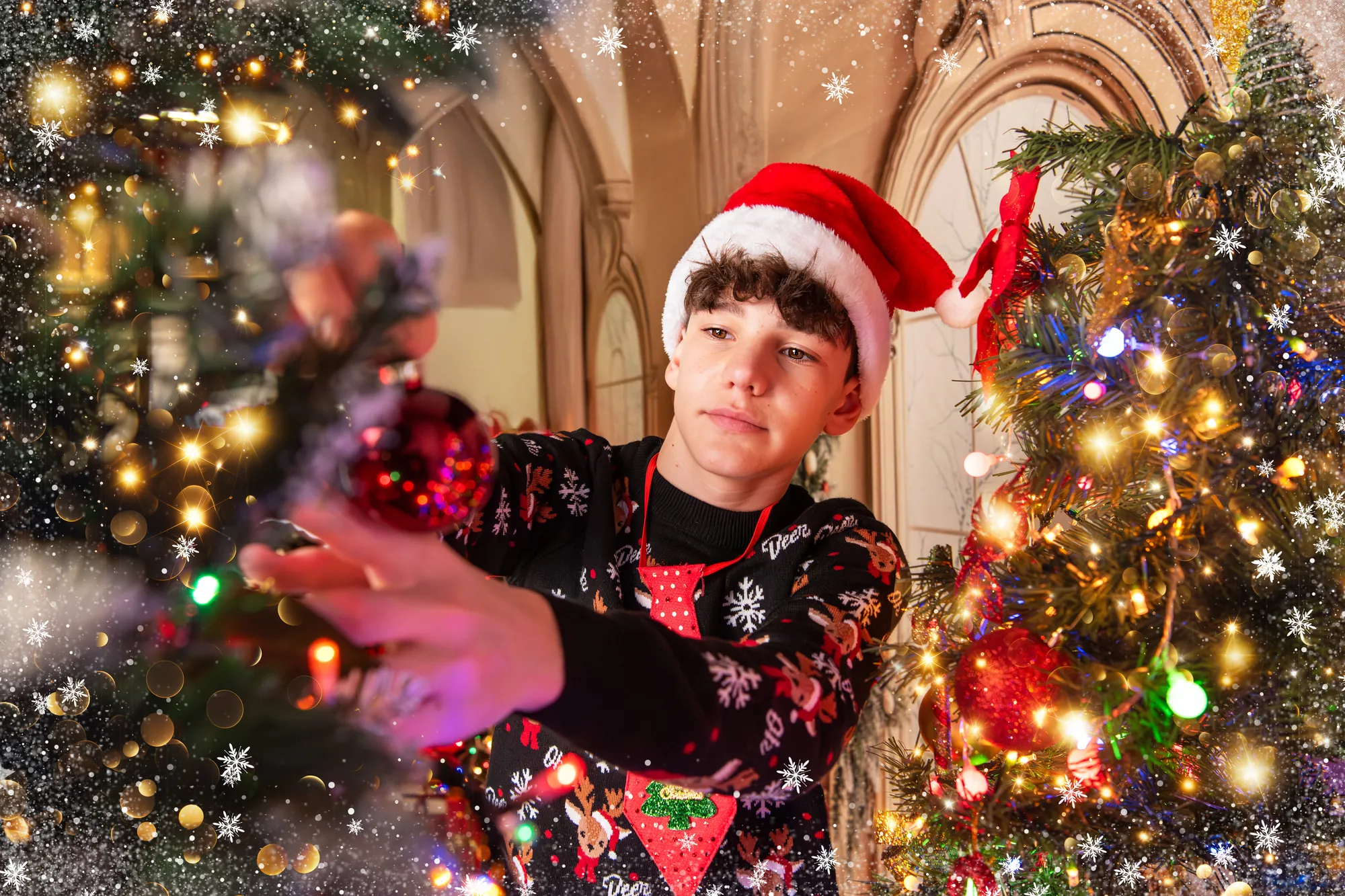 Natale, Studio Frau Fotografia